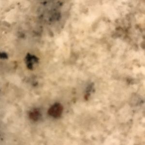 Meet your Posher, Holly